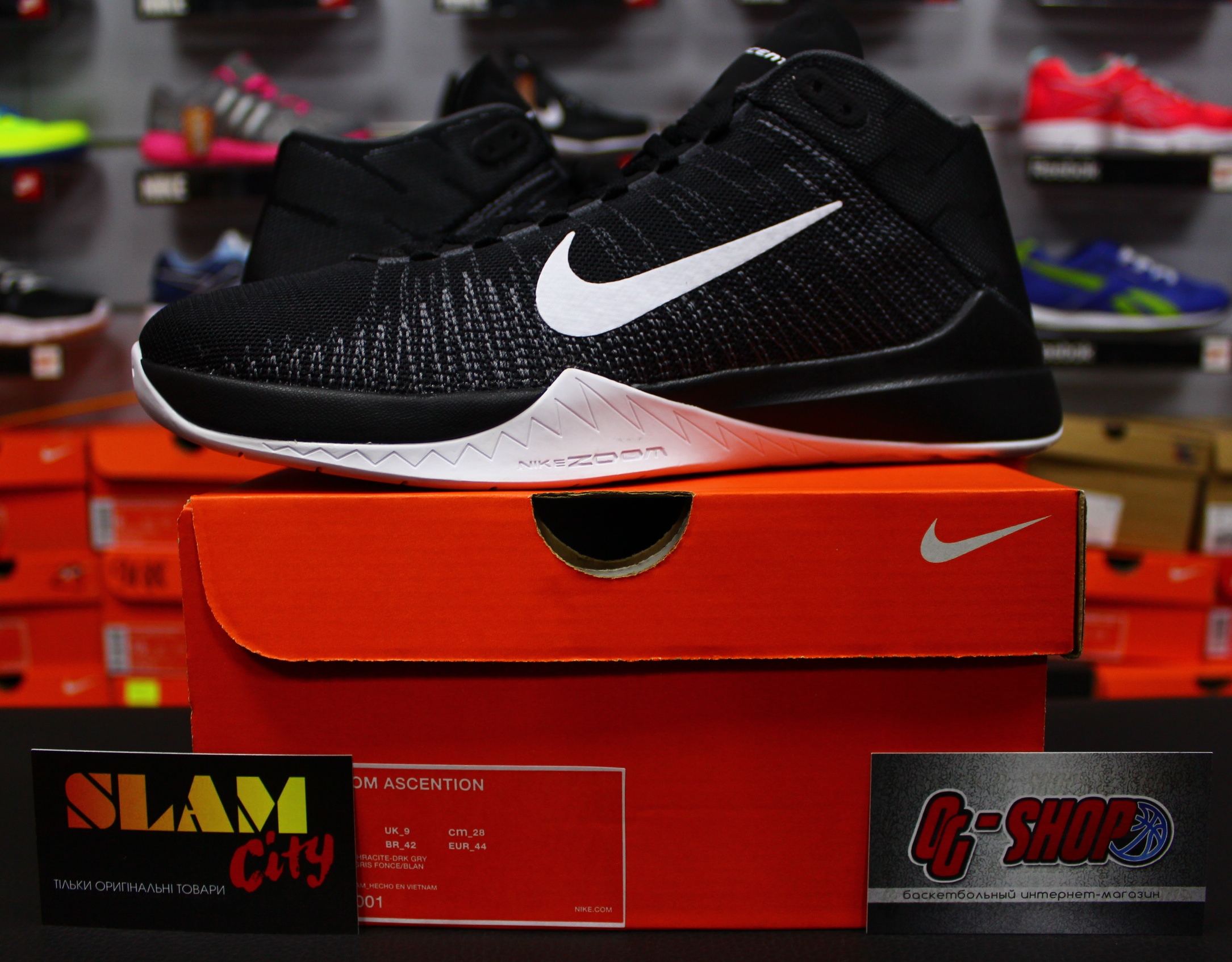 Nike zoom sales ascention basketball